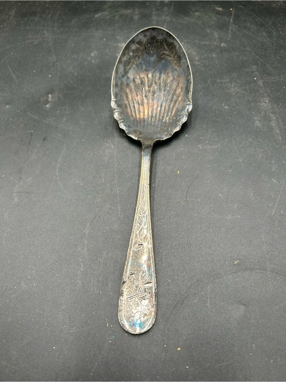 Silver plate shell serving spoon Frank McGuire Rockford pattern